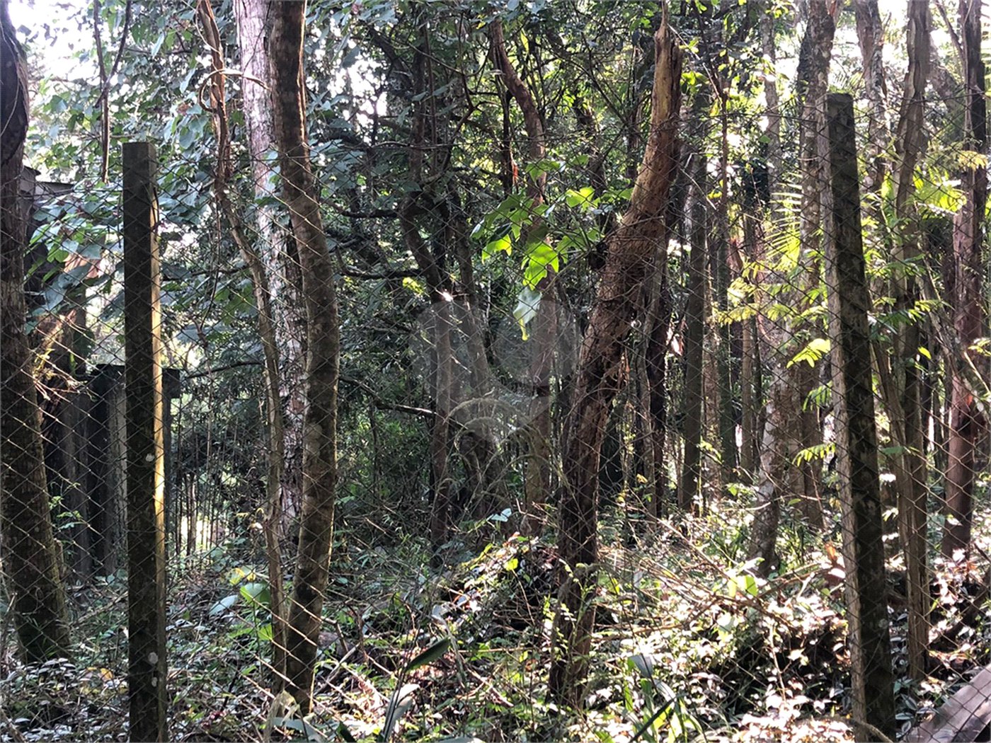 Terreno à venda em Roseira, Mairiporã, SP