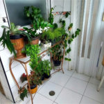 Apartamento Residencial à venda, Campo Grande, Santos - AP0818.