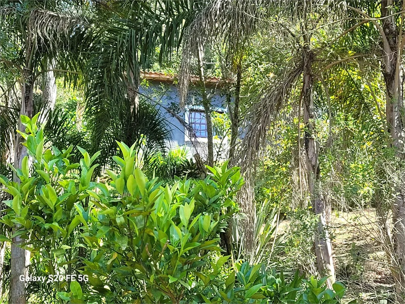 Sítio à venda com 3 quartos em Vila Darcy Penteado (mailasqui), São Roque, SP