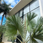 Casa à venda com 5 suítes no condomínio Tamboré II, Santana de Parnaíba - SP