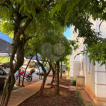 Apartamento à venda com 2 quartos em Vila Abranches, Ribeirão Preto, SP