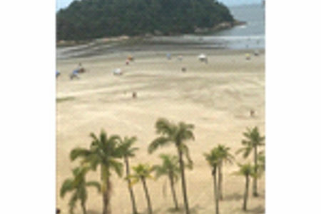 Apartamento Residencial à venda, José Menino, Santos - AP0530.