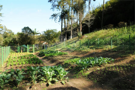 Terreno à venda no Centro (mailasqui), São Roque, SP