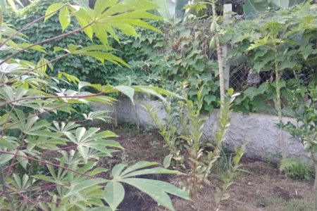Chácara à venda com 5 quartos, sendo 1 suíte, em Jardim Marabá, Itapetininga, SP