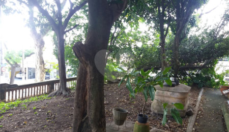 Terreno à venda com 3 quartos em Vila Guilherme, São Paulo, SP
