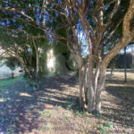 Casa à venda com 3 quartos, sendo 1 suíte, em Parque Residencial Monte Carlo, Ponta Porã, MS