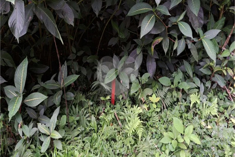 Terreno à venda no condomínio Parque Suiça, Caieiras - SP
