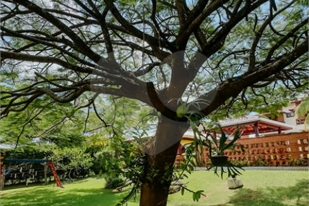 Casa à venda com 4 suítes no condomínio Monte Belo, Salto - SP