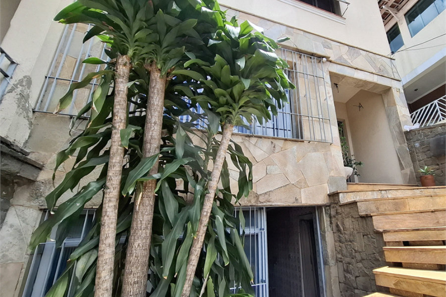 Sobrado à venda com 3 quartos em Vila Aurora (zona Norte), São Paulo, SP
