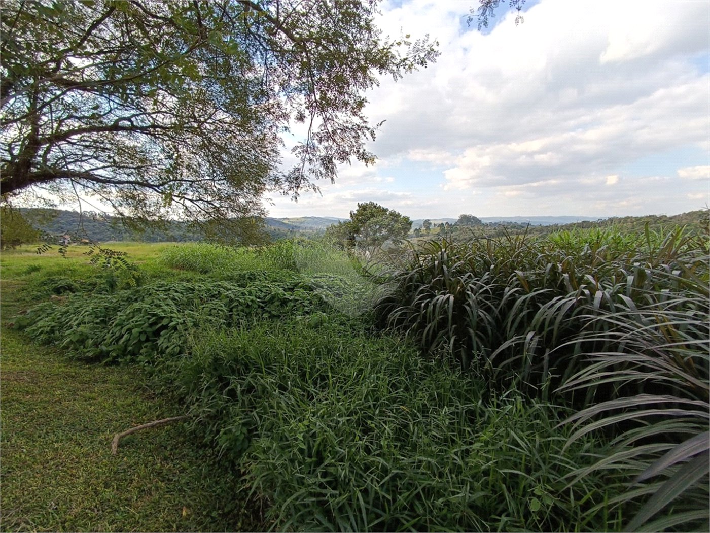 Terreno à venda em Taipas de Pedras (mailasqui), São Roque, SP