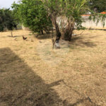 Terreno à venda em Jardim Marcelo Augusto, Sorocaba, SP