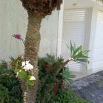 Casa à venda com 4 quartos, sendo 1 suíte, no condomínio Atlantico Sul, Rio de Janeiro - RJ