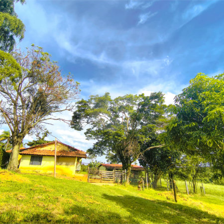 Sítio à venda com 3 quartos em Campo de Boituva, Boituva, SP