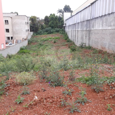 Terreno à venda em Jardim Flórida, São Roque, SP
