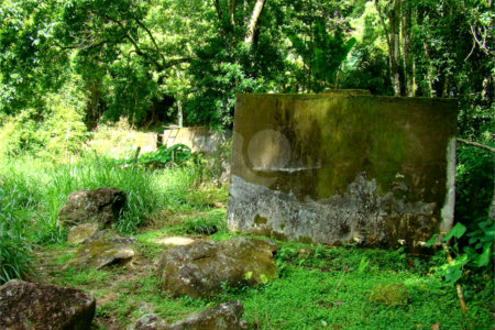 Fazenda à venda com 7 quartos, sendo 3 suítes, em Professor Souza, Casimiro de Abreu, RJ