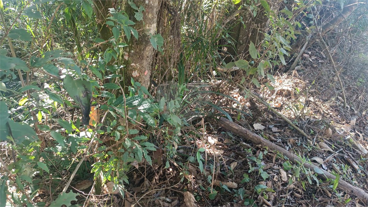 Terreno à venda no condomínio Sausalito, Mairiporã - SP