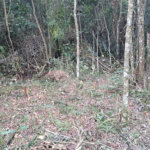 Terreno à venda em Serra da Cantareira, Mairiporã, SP
