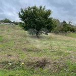 Chácara à venda ou para alugar com 4 quartos, sendo 1 suíte,  em Chácaras Rurais Guararema, Jacareí, SP
