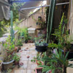 Casa à venda com 5 quartos em Andaraí, Rio de Janeiro, RJ