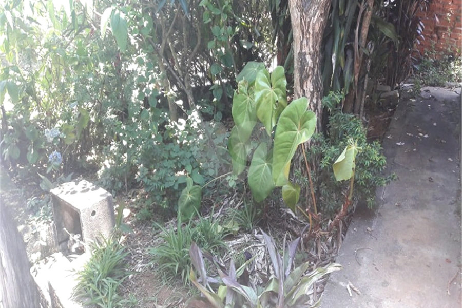 Terreno à venda em Jaraguá, São Paulo, SP