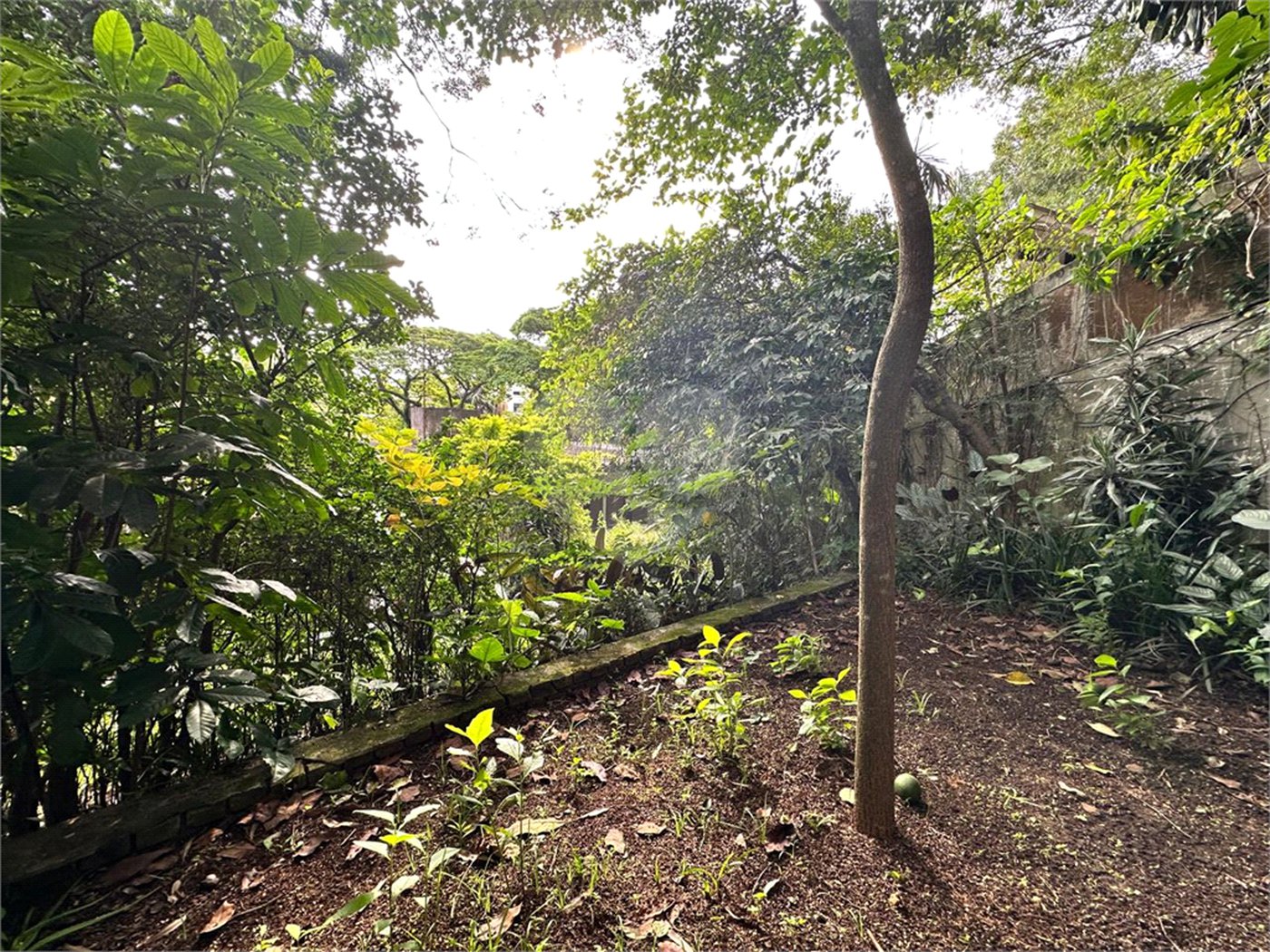 Casa à venda com 3 quartos, sendo 1 suíte, em Jardim Marajoara, São Paulo, SP