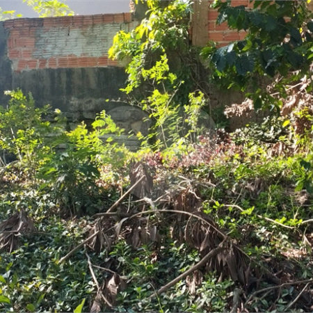 Terreno à venda em Vila Rosa, Itapetininga, SP
