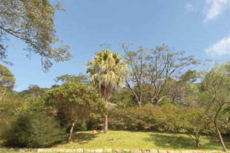 Sítio à venda em Chácara São João, Campo Limpo Paulista, SP