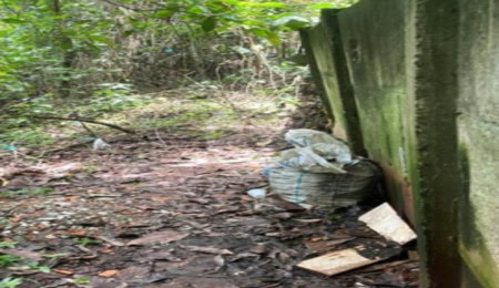 Terreno à venda em Jardim Ampliação, São Paulo, SP