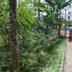 Apartamento à venda com 3 quartos, sendo 1 suíte, em Vila Andrade, São Paulo, SP