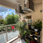 Apartamento à venda com 2 quartos, sendo 1 suíte, em Jardim São Vicente, Campinas, SP