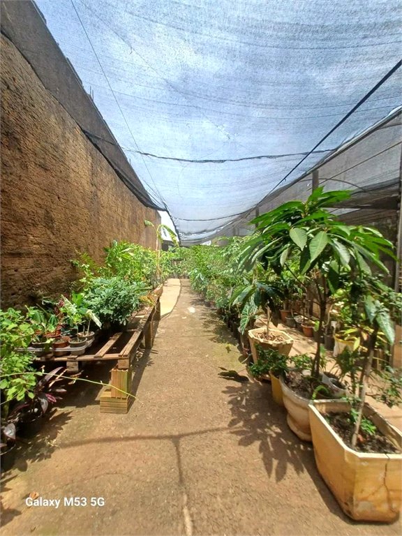 Sobrado à venda com 1 suíte no Centro, Américo Brasiliense, SP