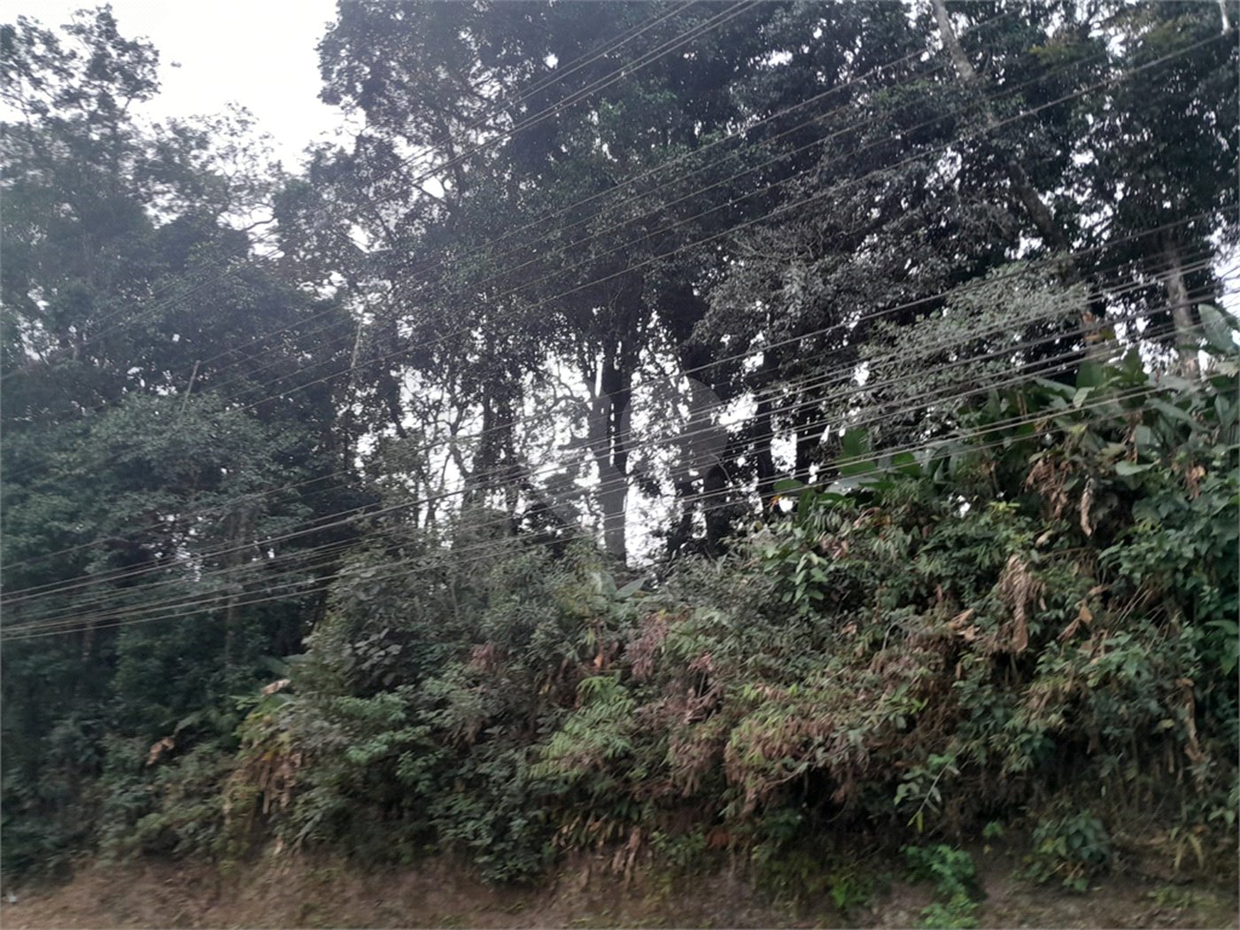 Terreno à venda em Serra da Cantareira, Mairiporã, SP