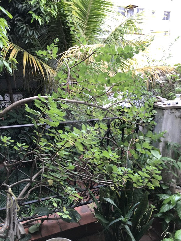 Sobrado à venda com 4 quartos, sendo 2 suítes,  em Vila Mariana, São Paulo, SP