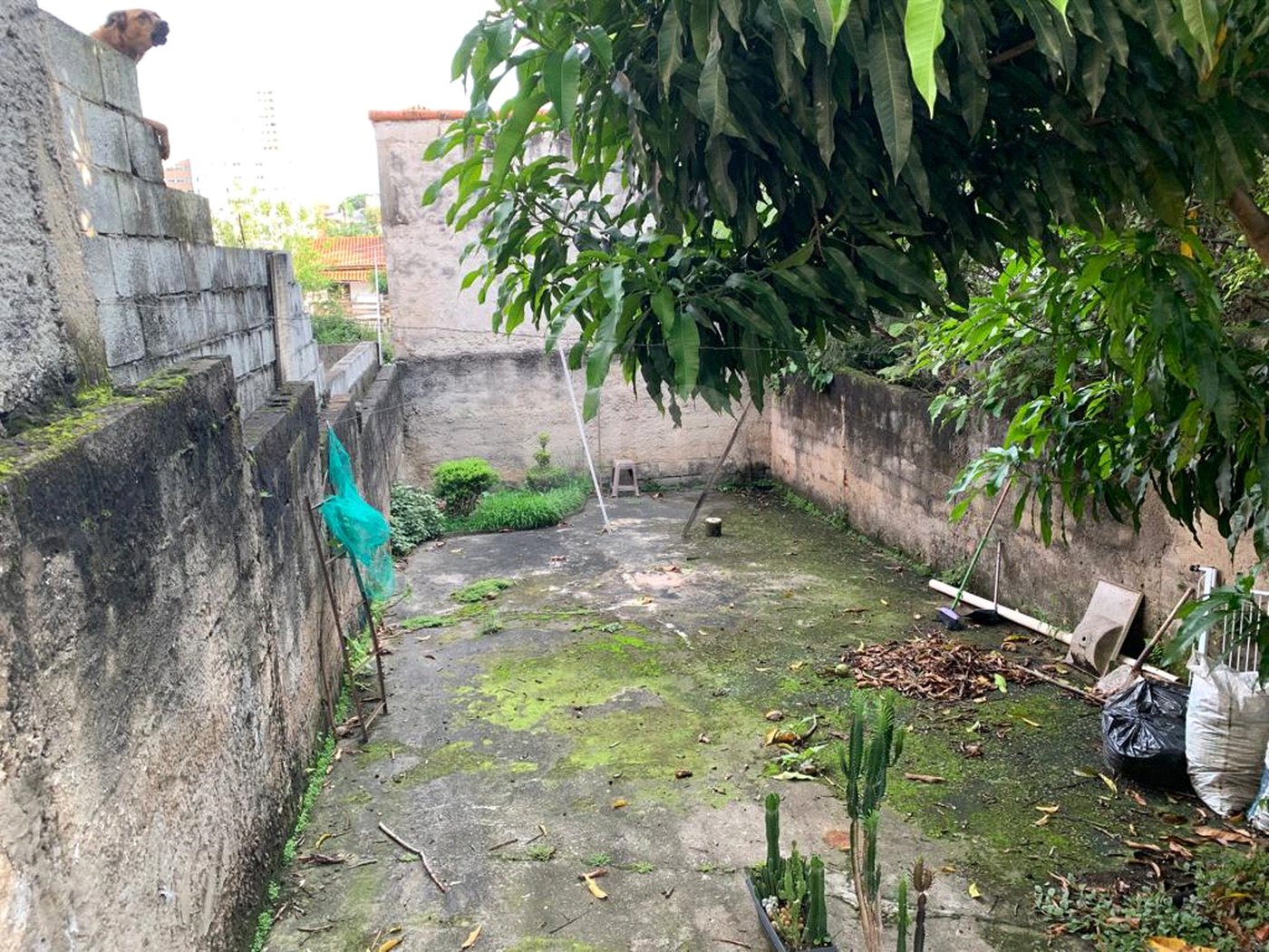 Sobrado à venda com 2 quartos em Vila Mazzei, São Paulo, SP