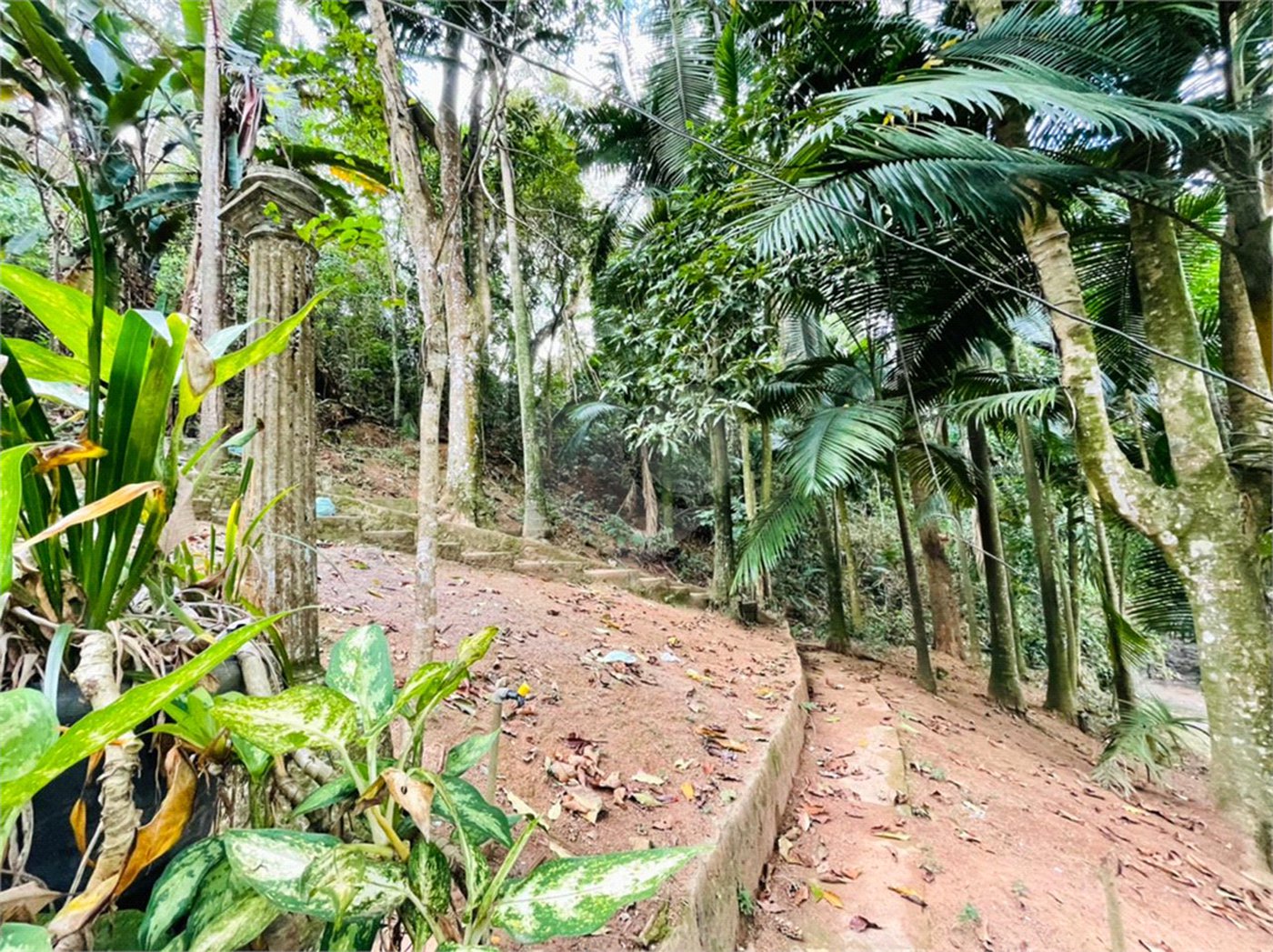 Terreno à venda em Tucuruvi, São Paulo, SP
