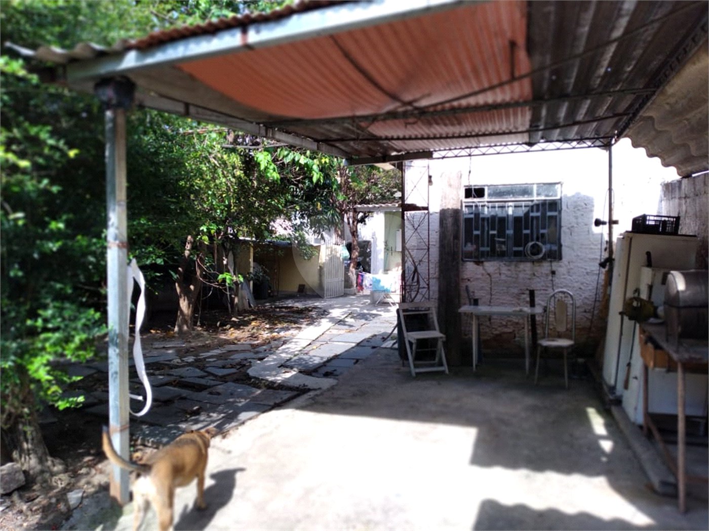 Terreno à venda com 1 quarto em Vila Mazzei, São Paulo, SP