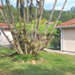 Casa à venda com 3 quartos, sendo 1 suíte, em Condomínio Flamboyant-b, Atibaia, SP