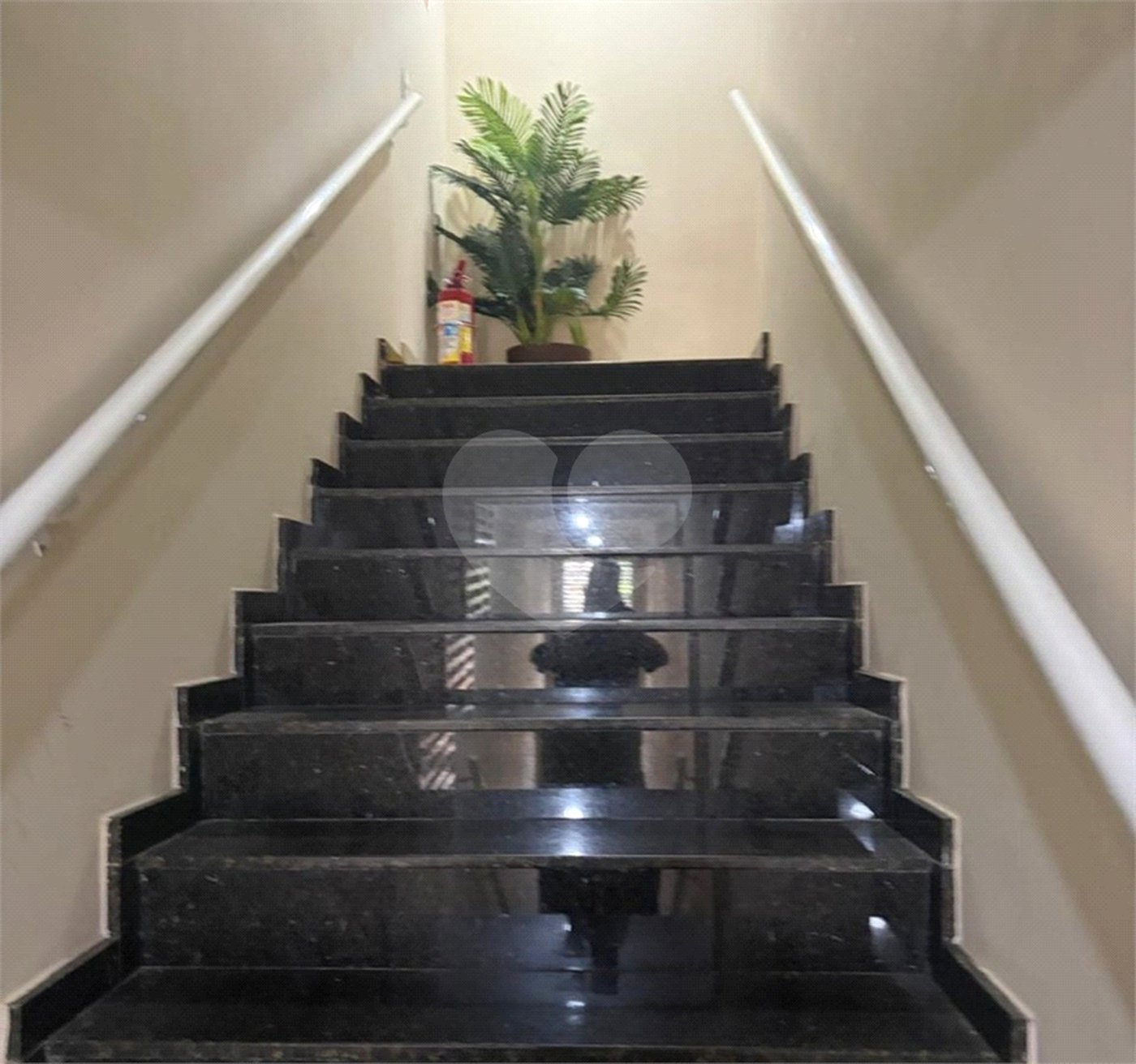 Apartamento para alugar com 2 quartos em Vila Guilherme, São Paulo, SP