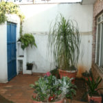 Sobrado à venda com 3 suítes em Vila Guilherme, São Paulo, SP