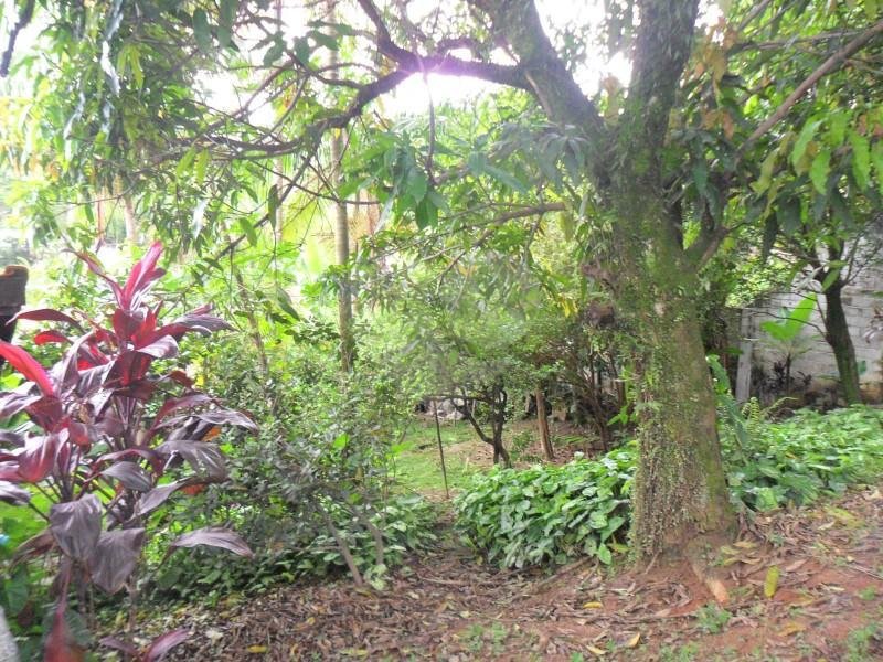 Sobrado à venda com 3 quartos, sendo 1 suíte,  em Vila São Francisco, São Paulo, SP