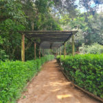 Casa à venda com 3 quartos, sendo 1 suíte, no condomínio Golden Park Residence, Sorocaba - SP