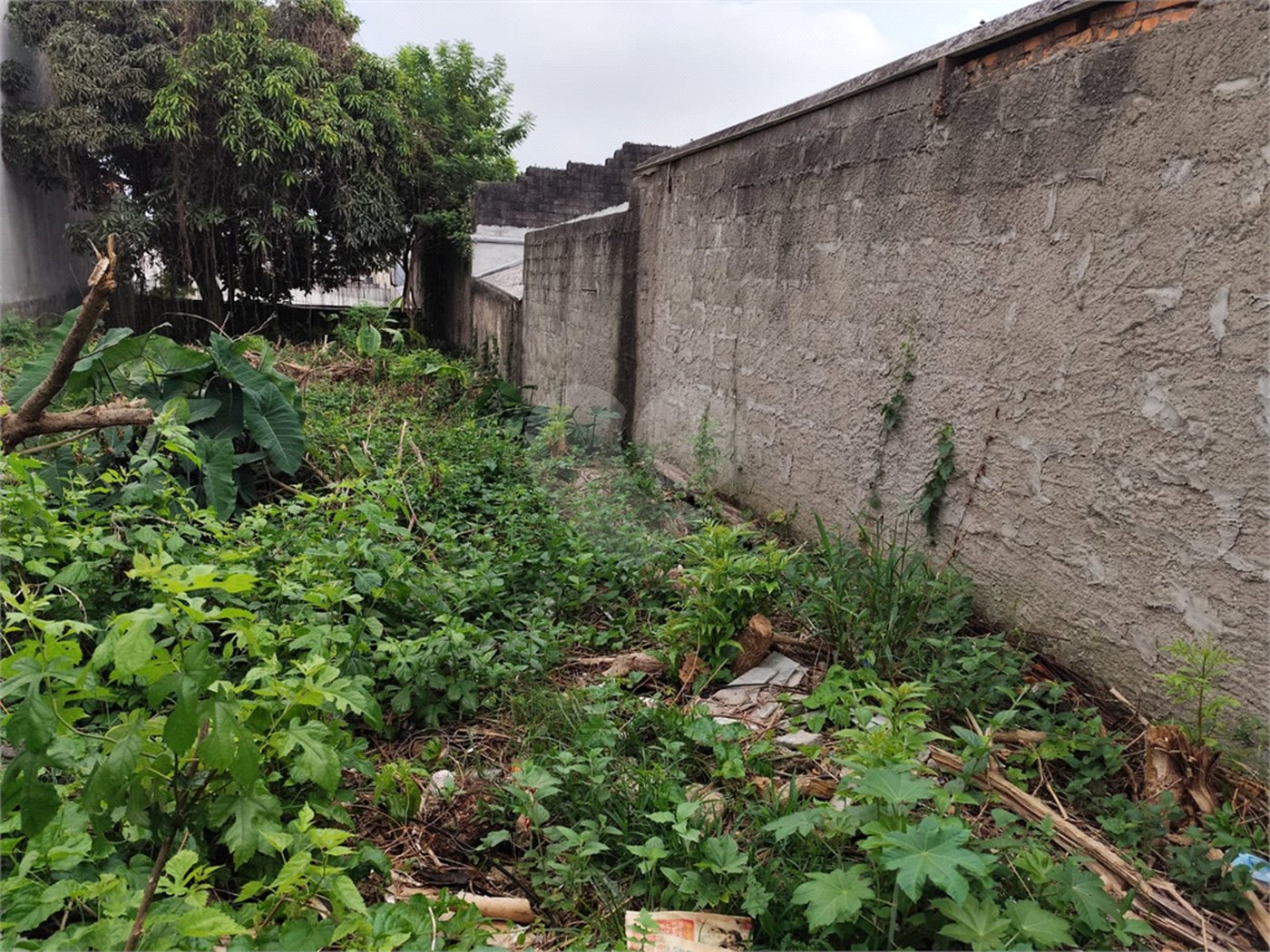 Terreno à venda com 1 suíte em Vila Constança, São Paulo, SP