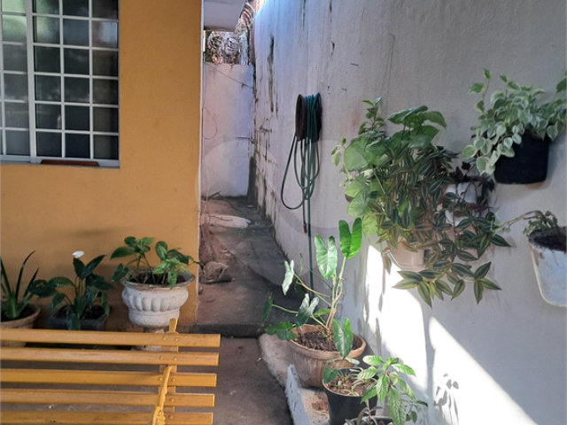 Casa Térrea à venda com 4 quartos em Parque Edu Chaves, São Paulo, SP