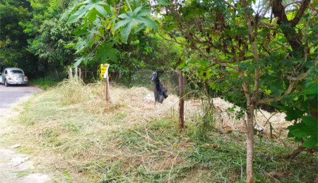 Terreno à venda em Loteamento Jardim do Sol (mailasqui), São Roque, SP