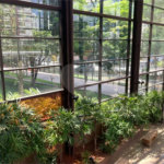 Apartamento para alugar com 4 suítes em Chácara Santo Antônio, São Paulo, SP