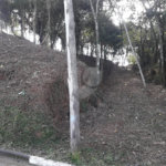 Terreno à venda no condomínio Residencial Parque Cerros Verdes, Mairiporã - SP
