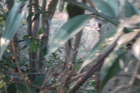 Terreno à venda em Jardim São João (zona Norte), São Paulo, SP