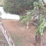 Casa á venda - Jabaquara