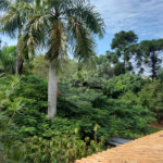 Chácara à venda com 3 quartos, sendo 1 suíte, em Chácara Flórida, Itu, SP