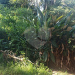 Terreno à venda no condomínio Residencial Cerros Verdes, Mairiporã - SP